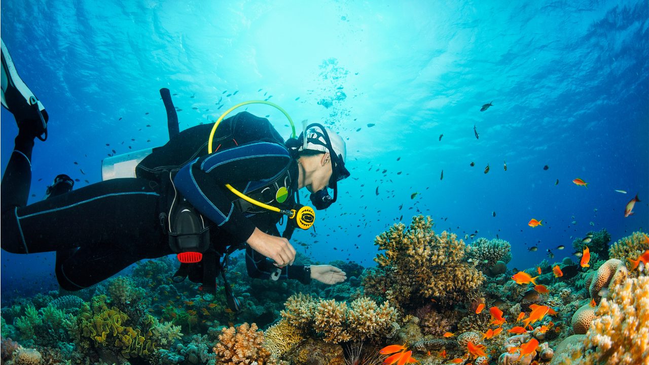 Scuba diver hovering over a colourful coral reef