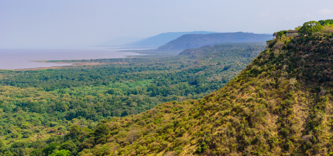 Tanzania nature