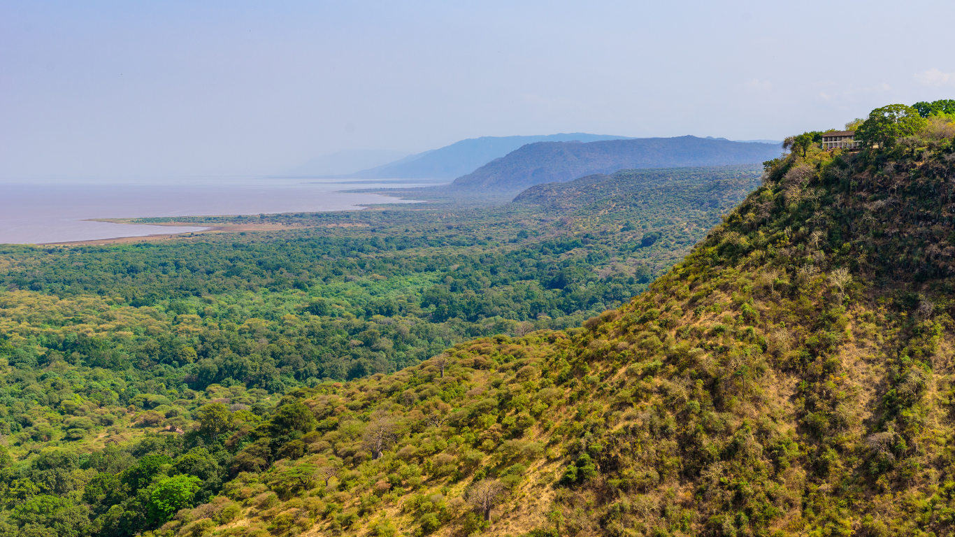 Tanzania nature
